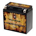 Pirate Battery YTX14- (14- 12 Volt,12 Ah, 200 ) Motorcycle Battery for Honda 1100cc Vt1100c, C3, T Shadow (spirit, Aero, A. C. E. Tourer) 2007