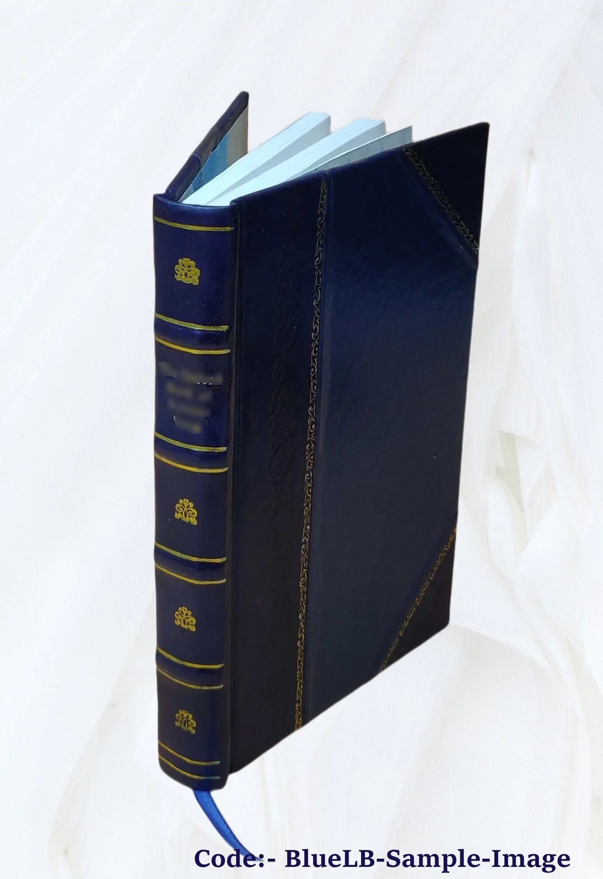 Squire Silchester's whim Volume 2 1873 [Leather Bound]