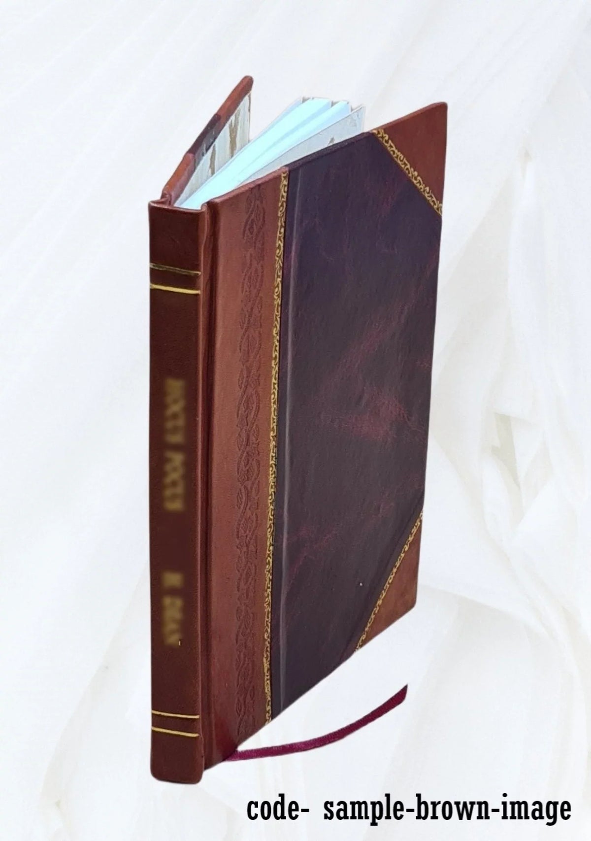 The 1st Division at Cantigny, May 1918 / by Rexmond C. Cochrane. 1958 [Leather Bound]