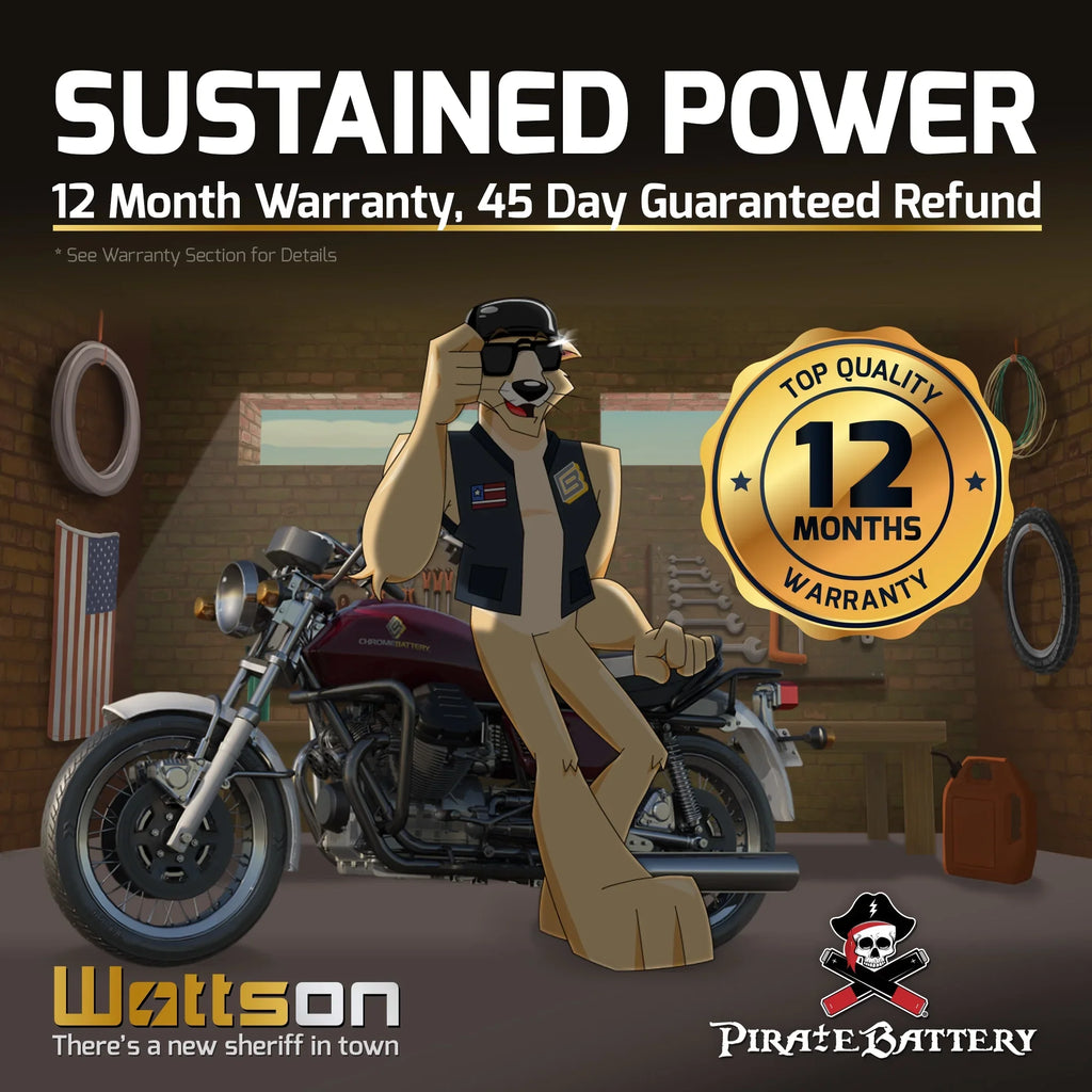 Pirate Battery YTX14- (14- 12 Volt,12 Ah, 200 ) Motorcycle Battery for Honda 1100cc Vt1100c, C3, T Shadow (spirit, Aero, A. C. E. Tourer) 2007
