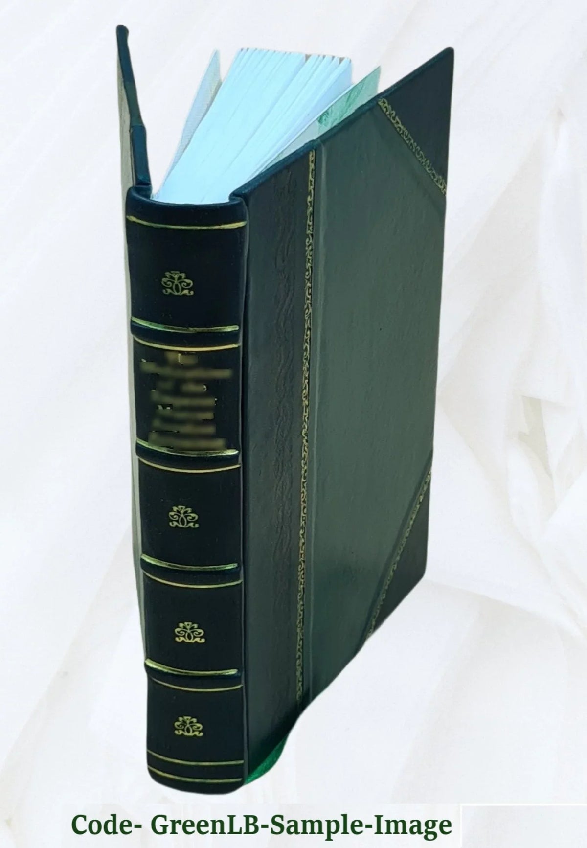 '- Fula Basic Course - Student Text [Leather Bound]